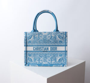 Small Dior Book Tote