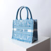 Small Dior Book Tote