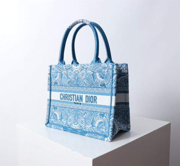 Small Dior Book Tote