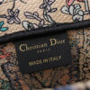 Medium Dior Book Tote