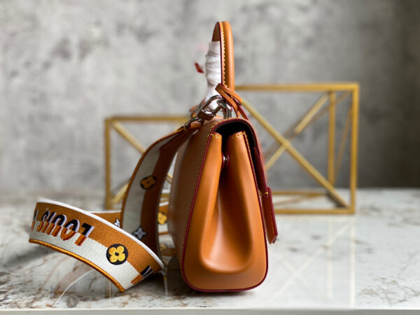 Louis Vuitton Cluny
