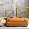 Louis Vuitton Cluny