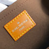 Louis Vuitton Cluny