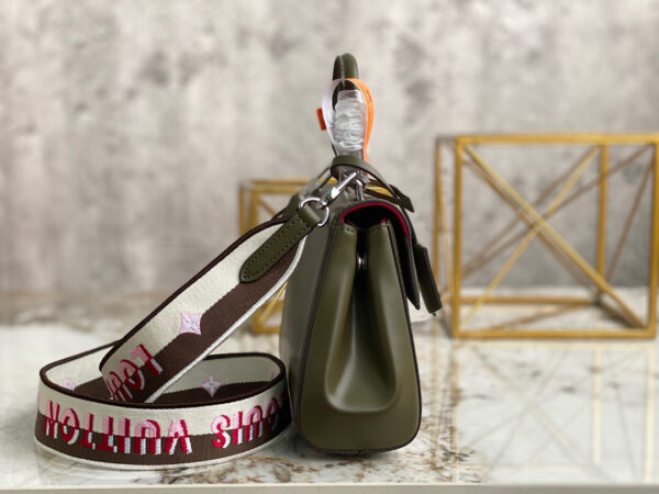 Louis Vuitton Cluny