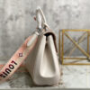 Louis Vuitton Cluny BB