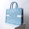 Large Dior Book Tote
