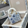 Dior Micro Lady Dior with Small Trunk