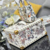 Dior Micro Lady Dior with Small Trunk