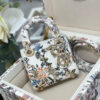 Dior Micro Lady Dior with Small Trunk
