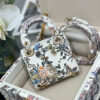Dior Micro Lady Dior with Small Trunk