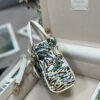 Dior Micro Lady Dior with Small Trunk