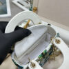 Dior Micro Lady Dior with Small Trunk