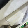 Dior Micro Lady Dior with Small Trunk