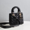 Lady Dior