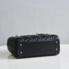 Lady Dior