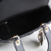 Lady Dior