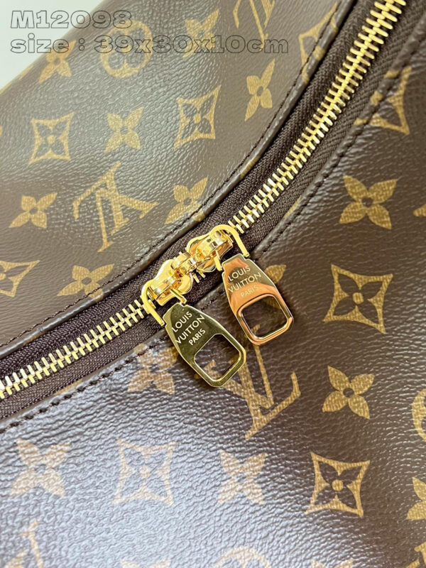 Louis Vuitton slouchy mm monogram
