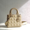 Lady Dior