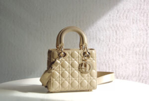 Lady Dior