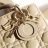 Lady Dior