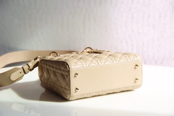 Lady Dior