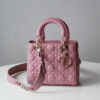 Lady Dior