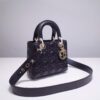 Lady Dior