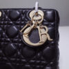 Lady Dior