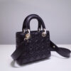 Lady Dior