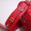 Lady Dior