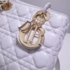 Lady Dior