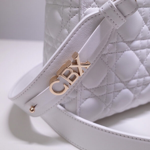 Lady Dior