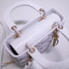 Lady Dior