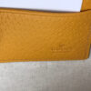 Gucci Clutch