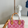Louis Vuitton Speedy Nano