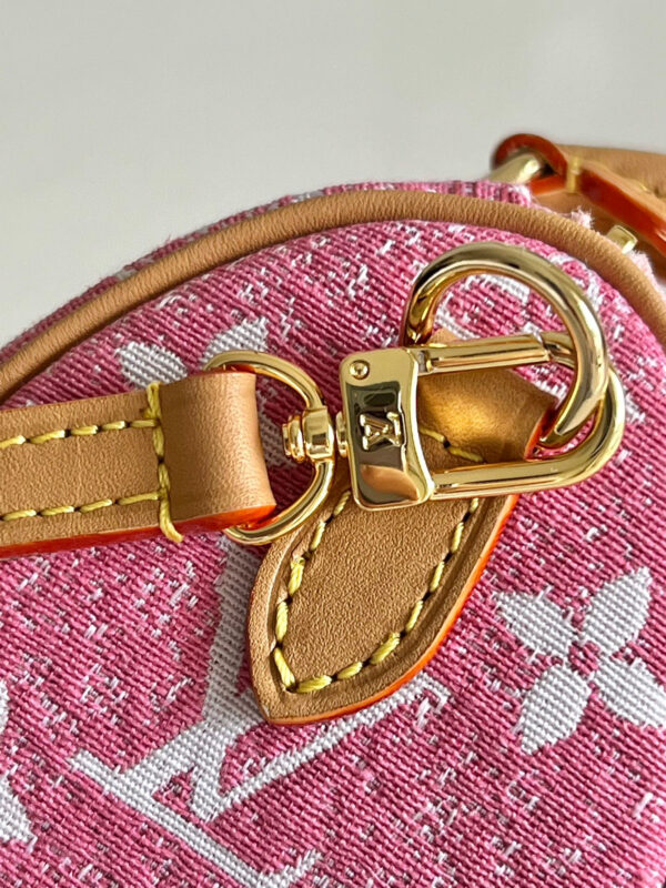 Louis Vuitton Speedy Nano