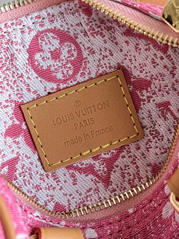 Louis Vuitton Speedy Nano