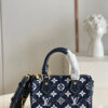 Louis Vuitton Speedy Nano