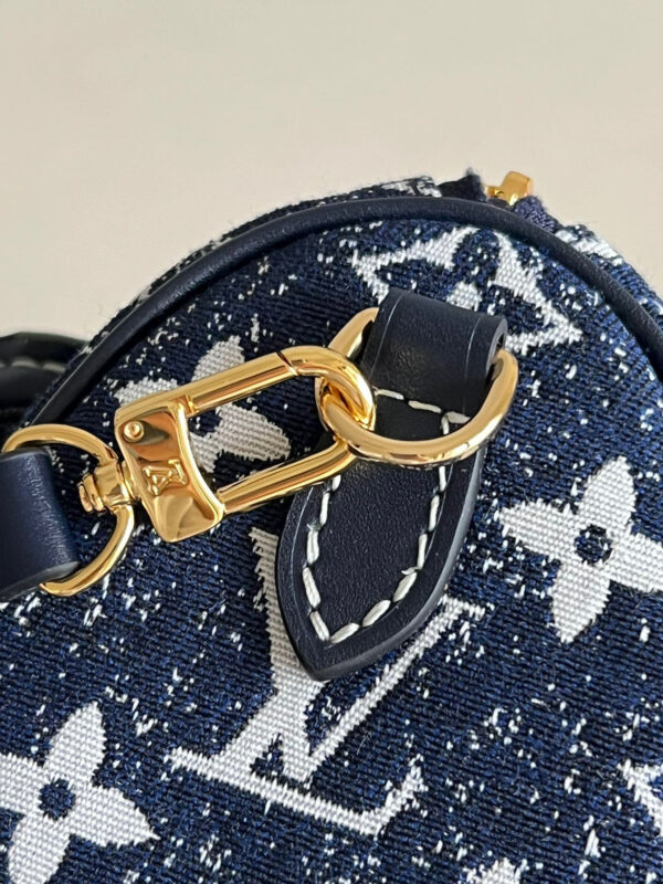Louis Vuitton Speedy Nano