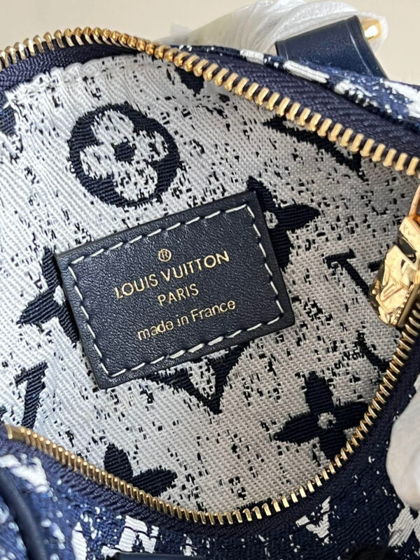 Louis Vuitton Speedy Nano