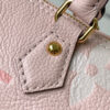 Louis Vuitton Papillon BB