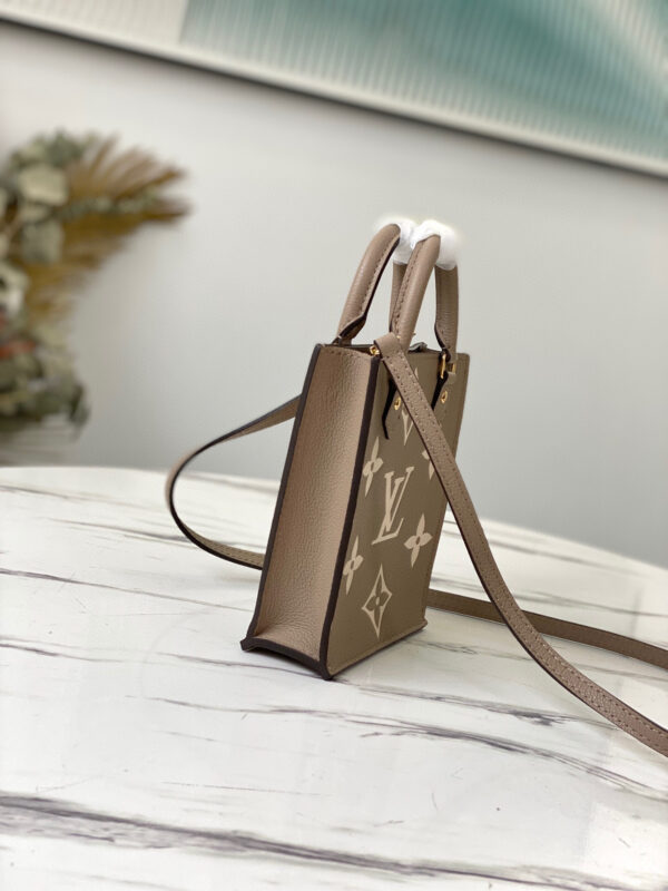 Louis Vuitton Petie Sac Plat