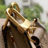 Louis Vuitton Petie Sac Plat