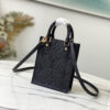 Louis Vuitton Petie Sac Plat