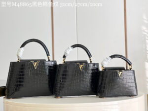 Louis Vuitton Capucines PM
