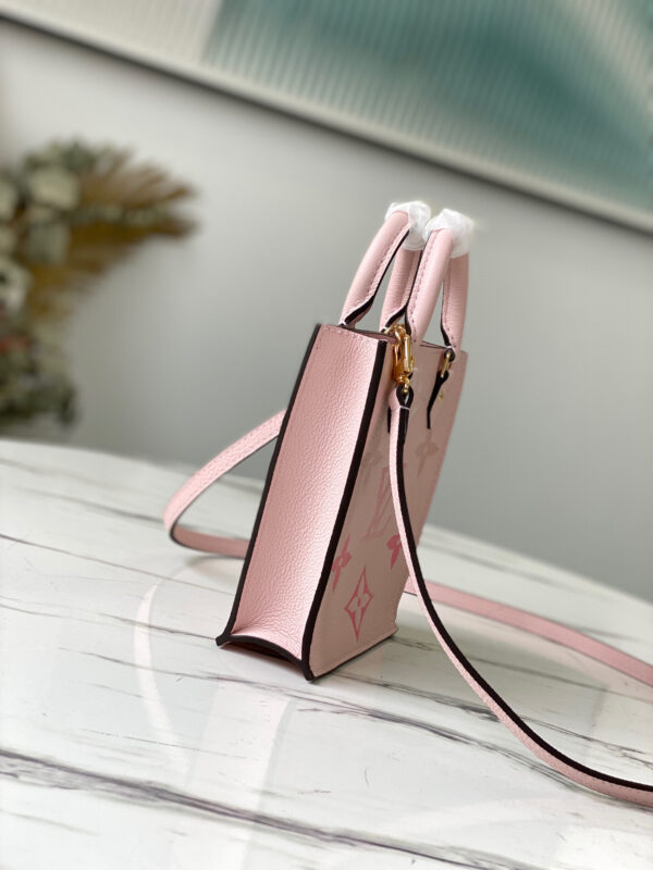 Louis Vuitton Petie Sac Plat