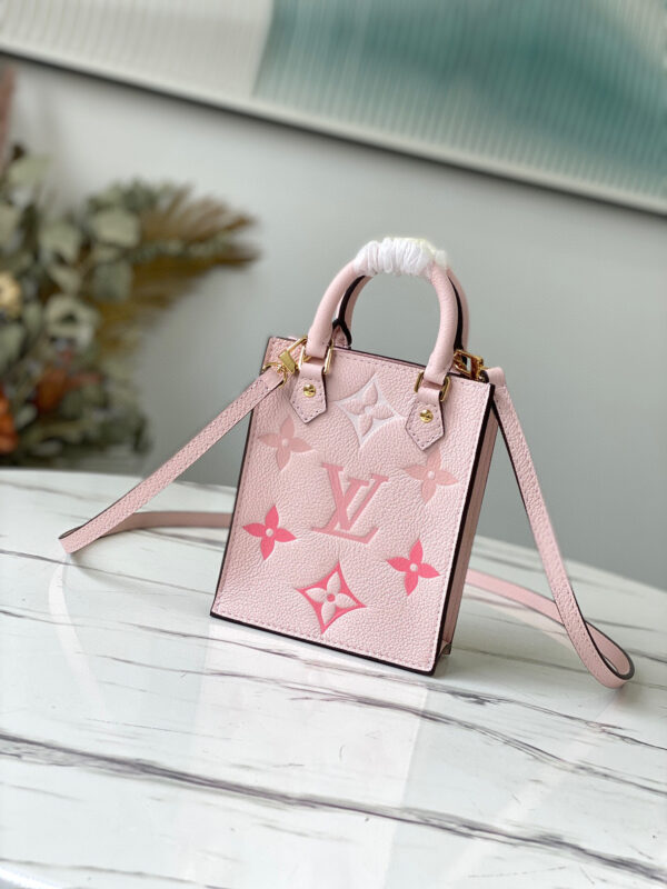 Louis Vuitton Petie Sac Plat
