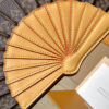 Louis Vuitton LV Fan