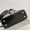Louis Vuitton Capucines Mini