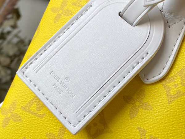 Louis Vuitton Carry It Tote
